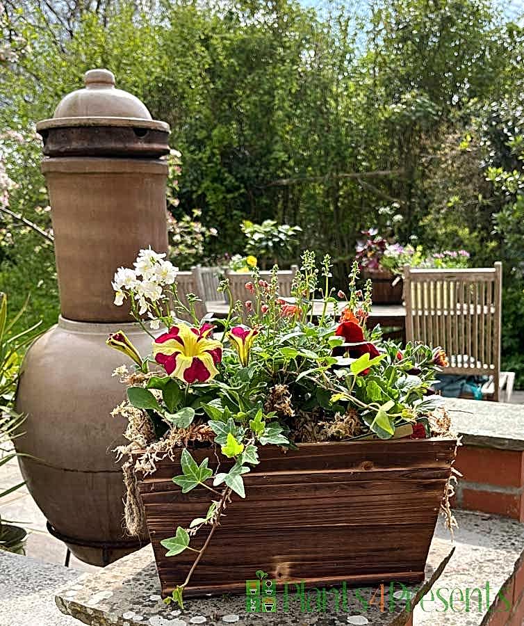 Spring planter