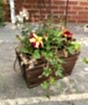 Spring Planter
