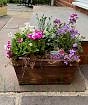 Spring Planter