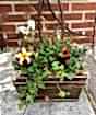Spring Planter