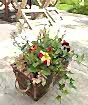 Spring Planter
