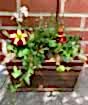 Spring Planter
