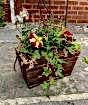 Spring Planter