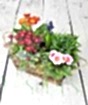 Spring Planter with warm tones