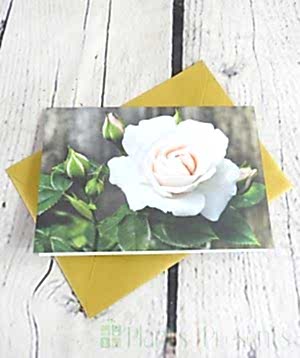 £10 Gift Voucher