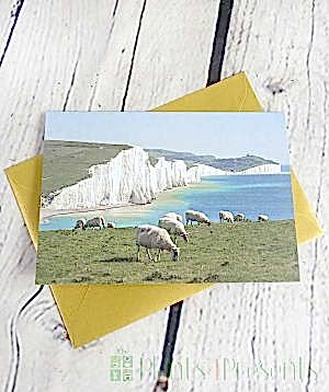 Thirty Pound Gift Voucher