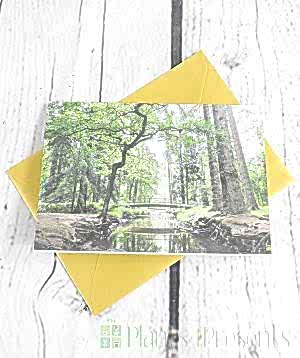 £60 Gift Voucher