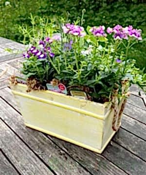 Summer planter