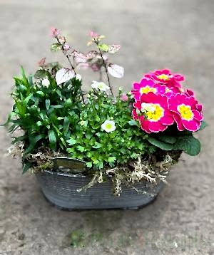Vintage trough with a pink theme