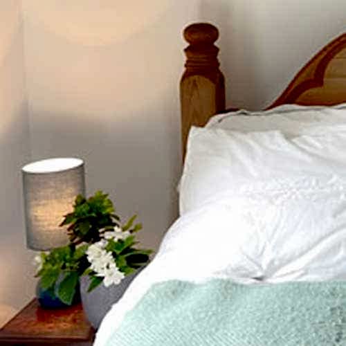 Best plants for bedrooms