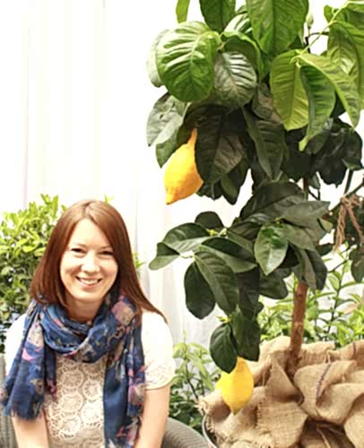 Large Lemon Tree with Kerenza
