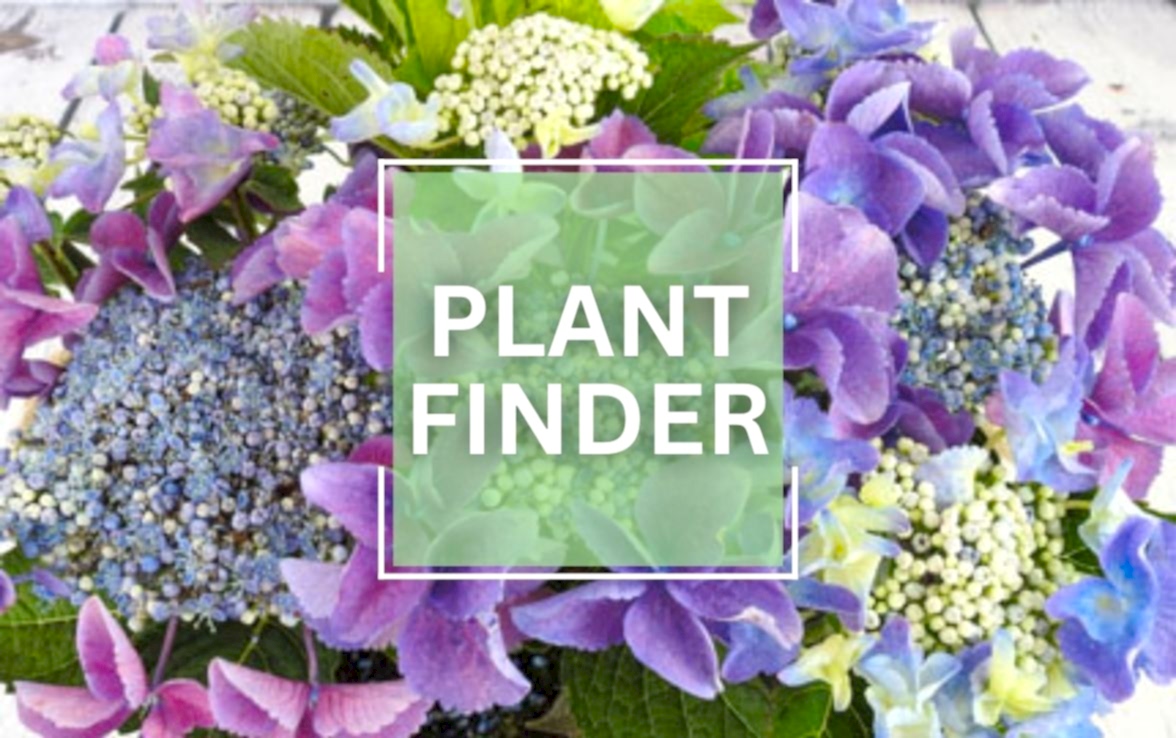 plant finder tool