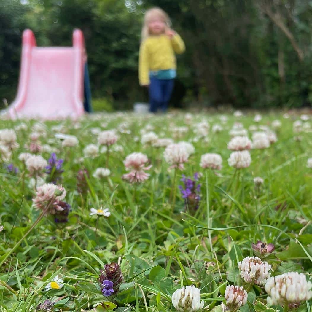 Wildlife gardening