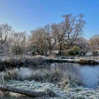 Winter garden